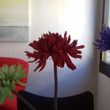 Apartamento Ribera Apartment Zaragoza